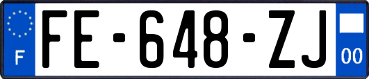 FE-648-ZJ