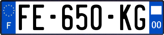 FE-650-KG