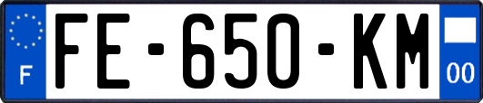 FE-650-KM