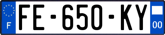 FE-650-KY