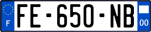 FE-650-NB