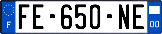 FE-650-NE