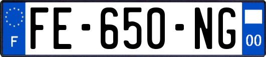 FE-650-NG