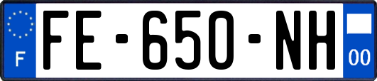 FE-650-NH