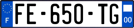FE-650-TG