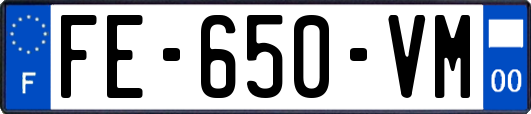 FE-650-VM