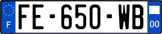 FE-650-WB