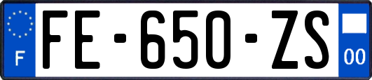 FE-650-ZS