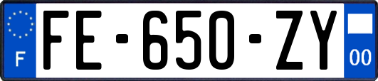 FE-650-ZY