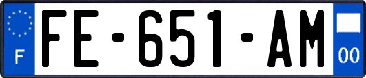 FE-651-AM