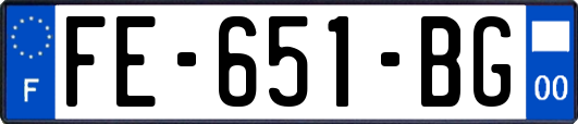 FE-651-BG