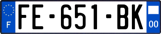 FE-651-BK