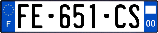 FE-651-CS