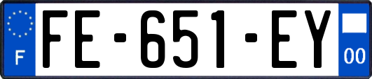 FE-651-EY
