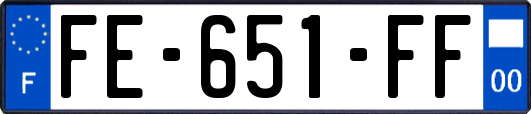 FE-651-FF