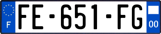 FE-651-FG