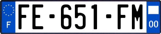 FE-651-FM