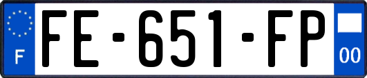 FE-651-FP