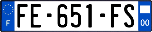 FE-651-FS