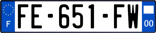 FE-651-FW