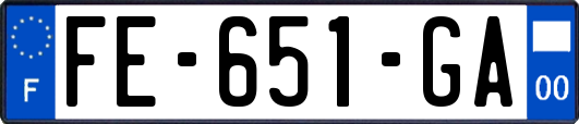 FE-651-GA