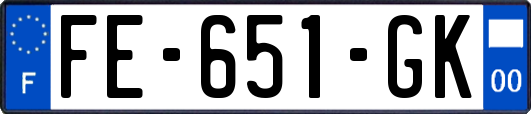 FE-651-GK