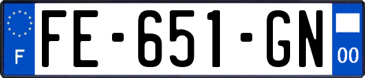 FE-651-GN