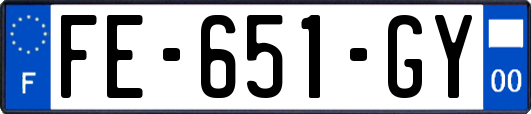 FE-651-GY