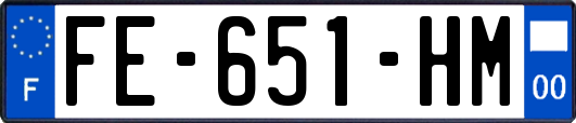 FE-651-HM