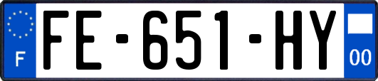 FE-651-HY