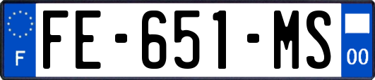 FE-651-MS