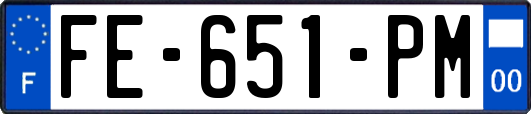 FE-651-PM