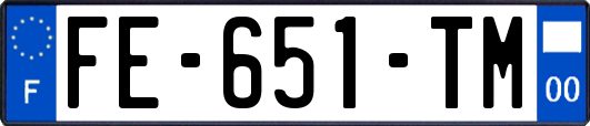 FE-651-TM