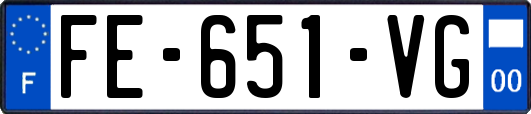 FE-651-VG
