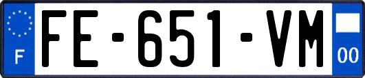 FE-651-VM
