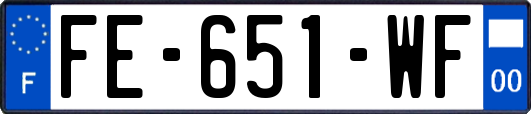 FE-651-WF