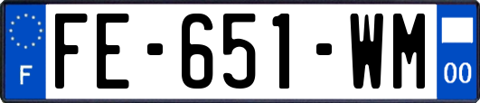 FE-651-WM