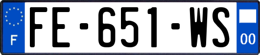 FE-651-WS
