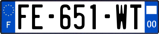 FE-651-WT
