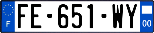 FE-651-WY