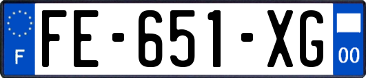 FE-651-XG