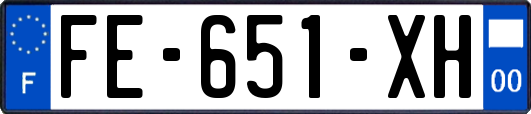 FE-651-XH