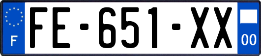 FE-651-XX