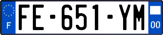 FE-651-YM