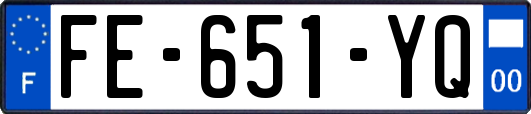 FE-651-YQ