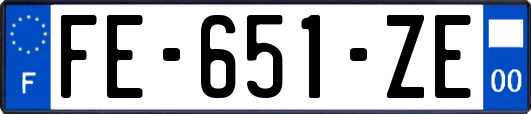 FE-651-ZE