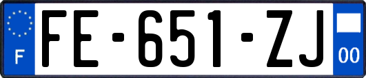 FE-651-ZJ