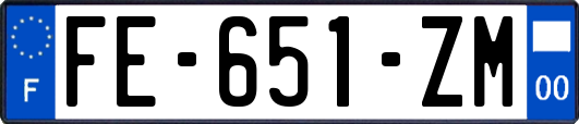 FE-651-ZM