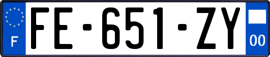 FE-651-ZY