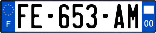 FE-653-AM